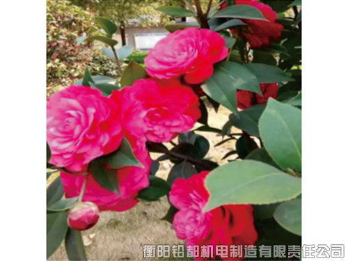 工廠(chǎng)環(huán)境