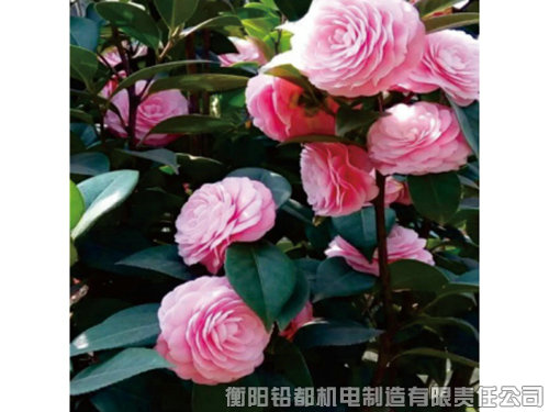 工廠(chǎng)環(huán)境